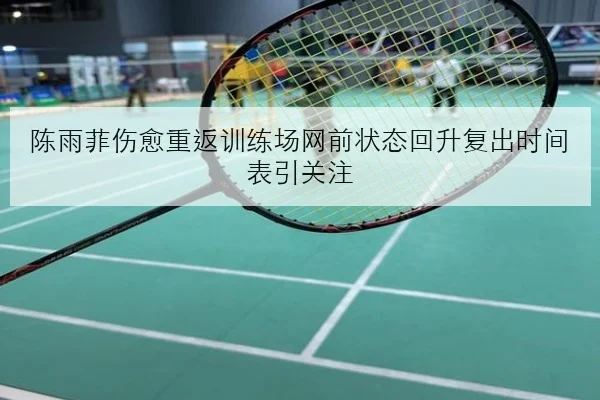 陈雨菲伤愈重返训练场网前状态回升复出时间表引关注